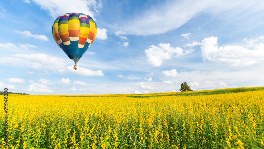 Naklejka premium Hot air balloon over yellow flower fields against blue sky