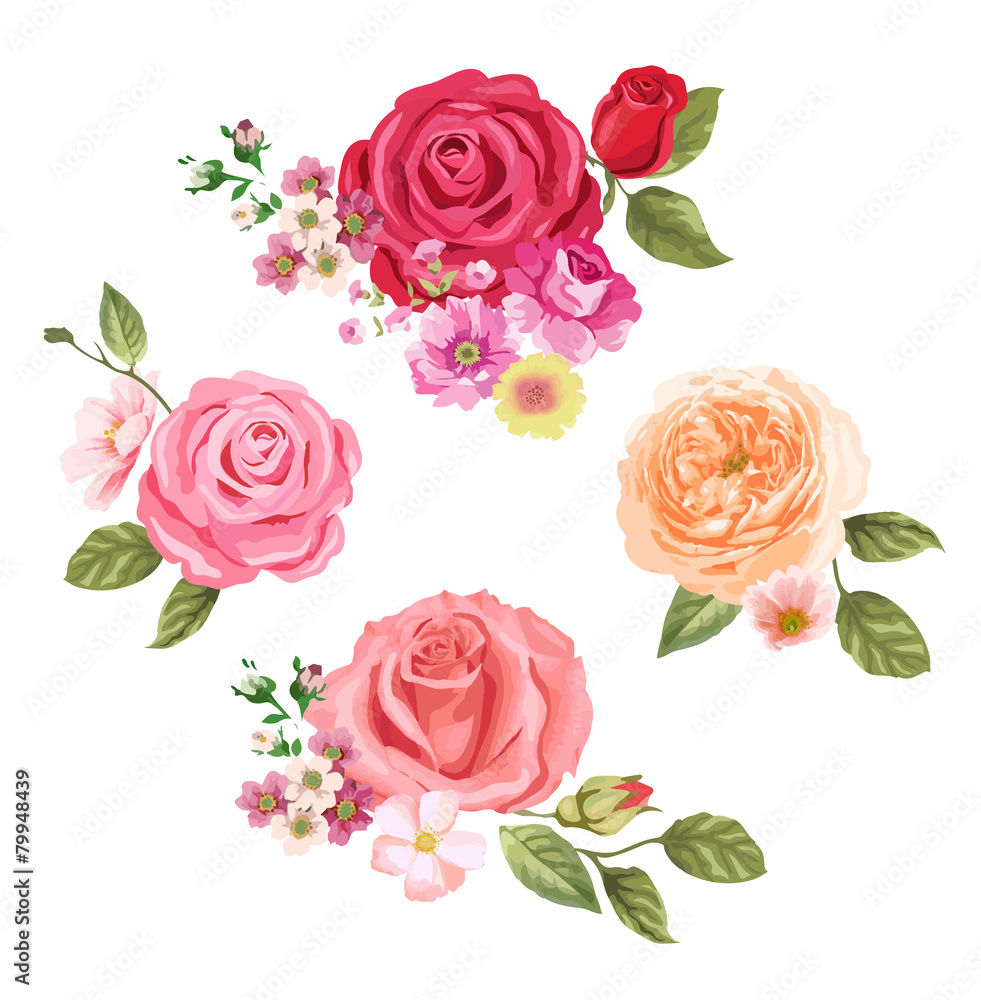 Vector set with roses