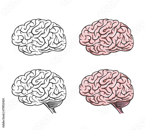 Set of isolated cartoon brains