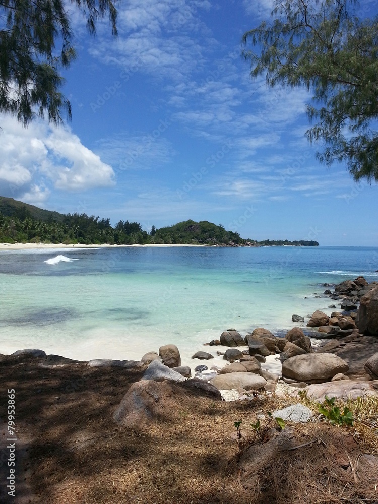 Fototapeta premium Tropical paradise