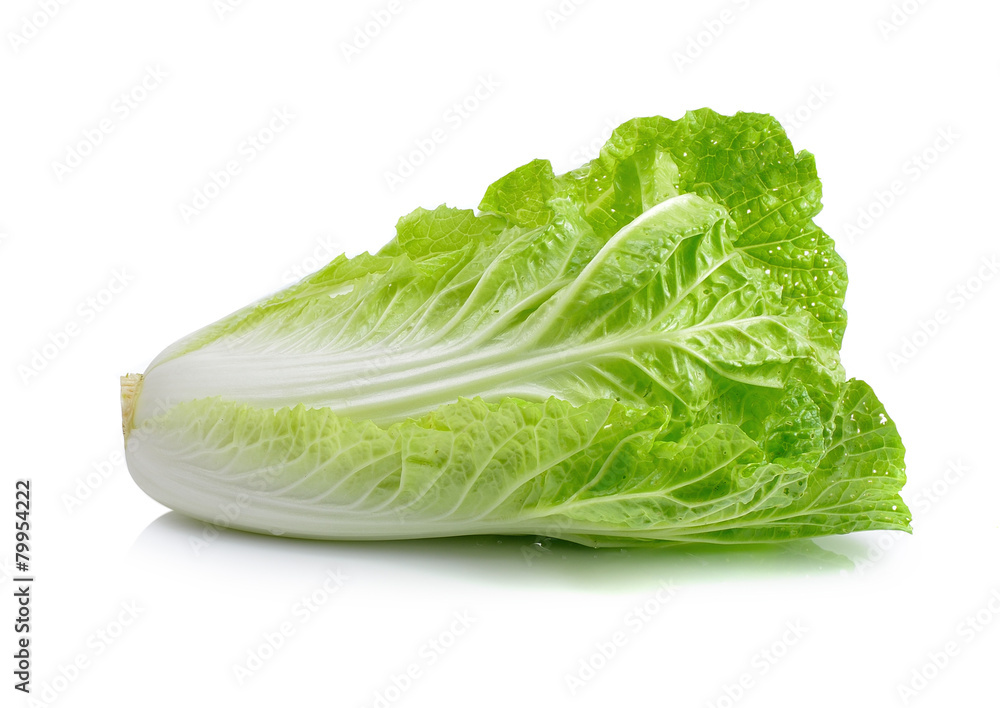 fresh chinese cabbage on a white background fresh chinese cabbage on a white background
