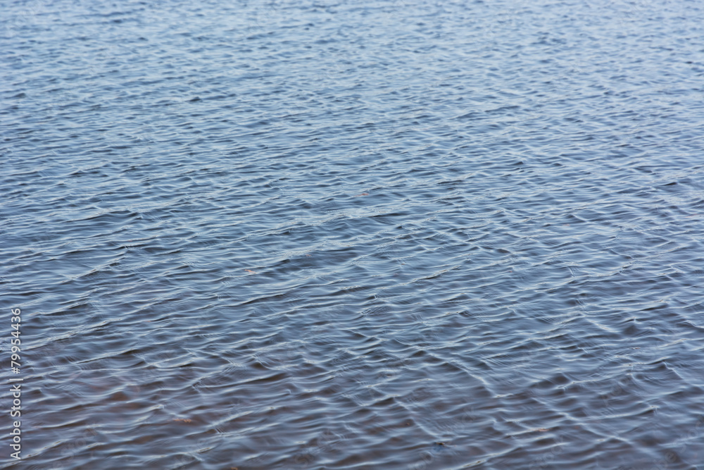 Ripples on the water. Ripples on the water.