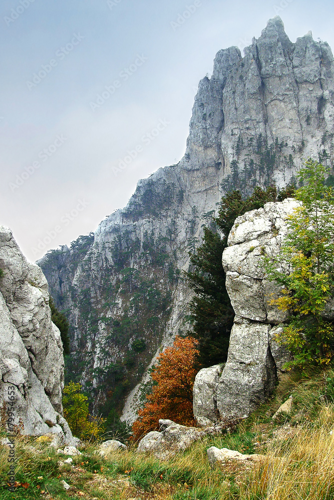 landscape on the mountain Ai-Petri in Crimea