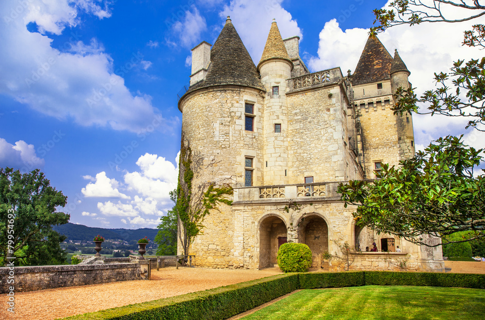 most impressive medieval castles of France - Milandes