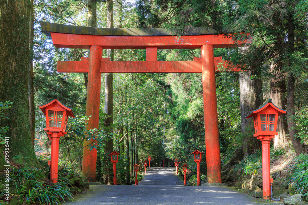 Torri Gates at Hakone temple, Japan Torri Gates at Hakone temple, Japan