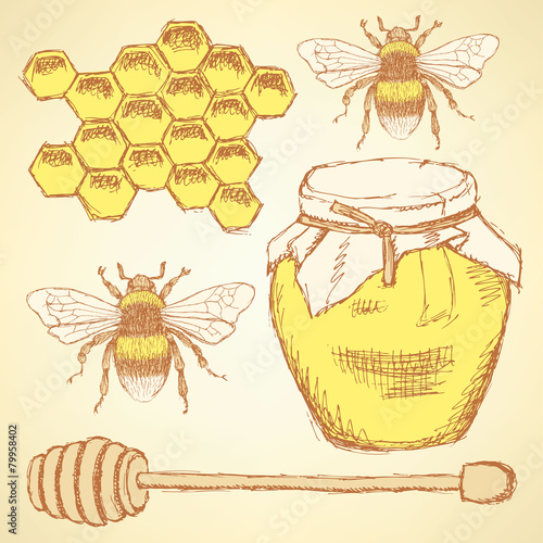 Sketch honey background in vintage style