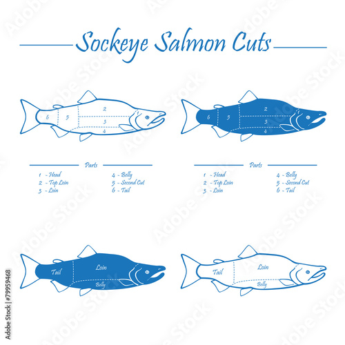 Sockeye salmon cuts diagram