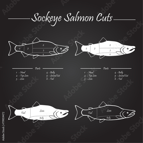Sockeye salmon cuts diagram