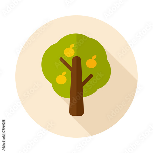 Fruit tree flat icon with long shadow