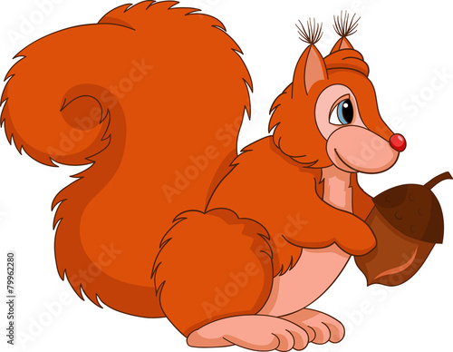 Cute squirrel