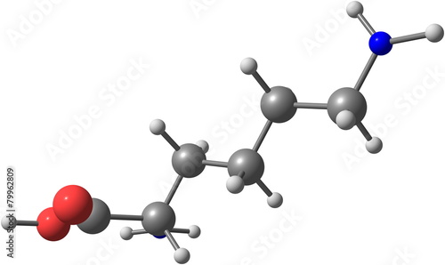 Lysine acid molecule isolated on white