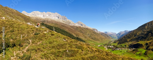 Swiss Alps, Cow on the Mountains view