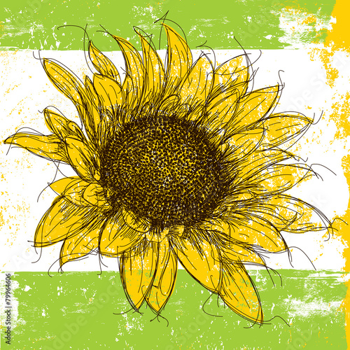 Sketchy Sunflower