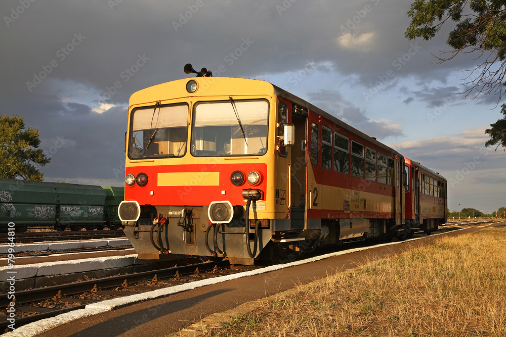 Train in Biharkeresztes. Hungary Train in Biharkeresztes. Hungary