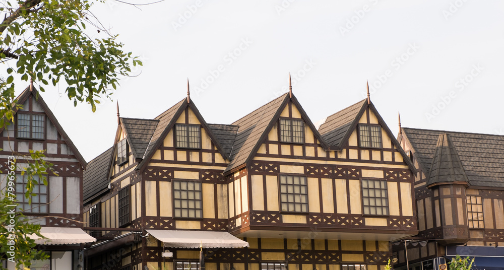 Fototapeta premium buiding english style