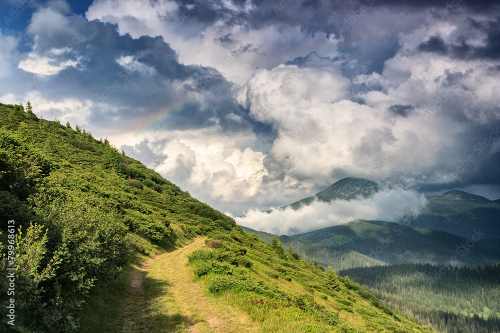 Fototapeta premium Rainbow after the rain in the Ukrainian Carpathians