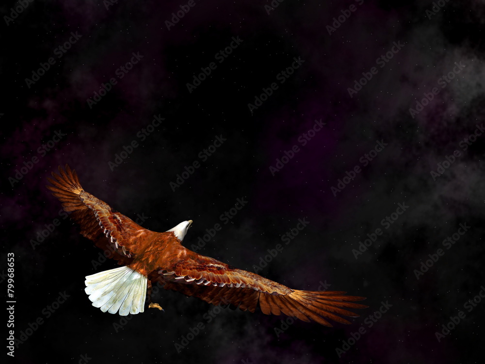 Fototapeta premium Eagle flying in the universe - 3D render