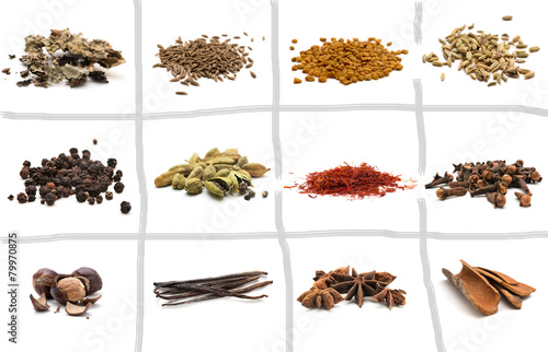 Set of different spices