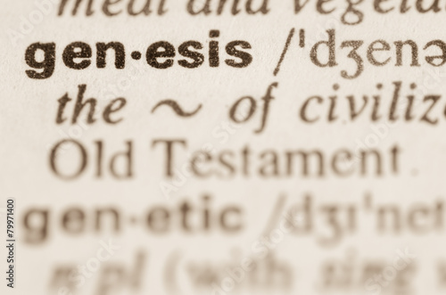 Canvas-taulu Dictionary definition of word genesis