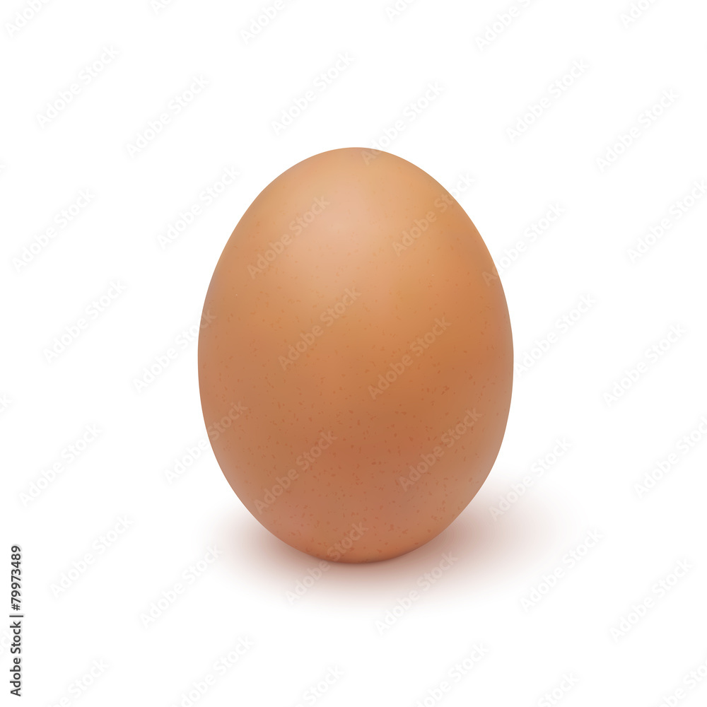 Realistic egg icon, isolated on white background Realistic egg icon, isolated on white background