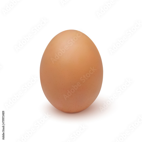 Realistic egg icon, isolated on white background