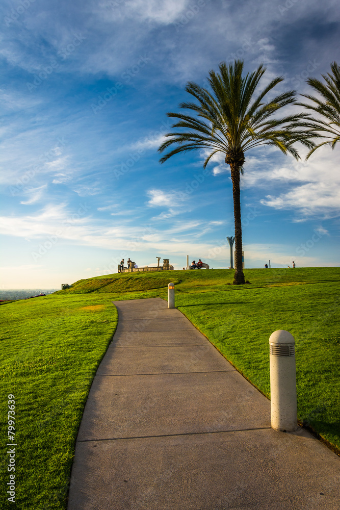 Palm trees and path at Hilltop Park, in Signal Hill, Long Beach,