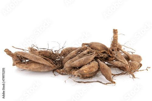 Fototapeta Naklejka Na Ścianę i Meble -  Dahlia tubers