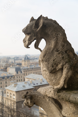 Notre Dame Cathedral, Paris © 135pixels