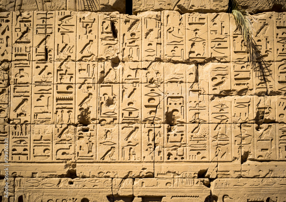 Egyptian hieroglyphs on the wall