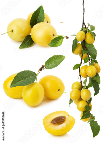 set of yellow cherry plums isolated on the white background