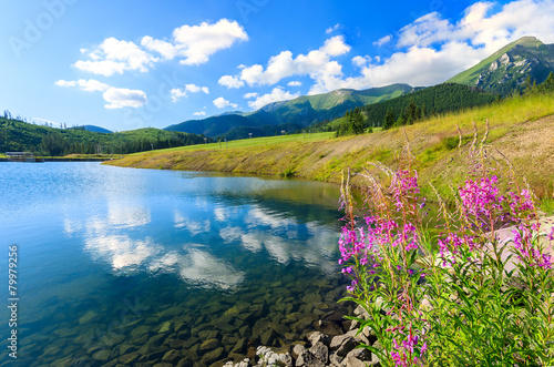 Flowers and beautiful mountain lake in High Tatras, Slovakia