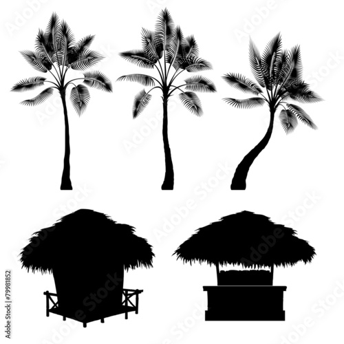 Tropical bungalow and palm