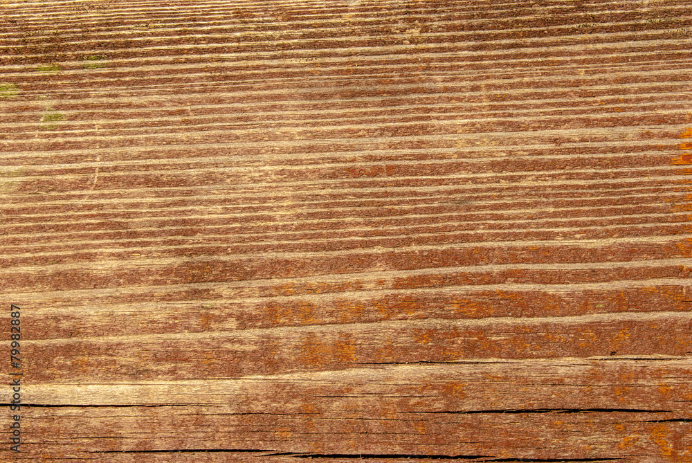 Fototapeta premium Old Shabby Wooden Planks