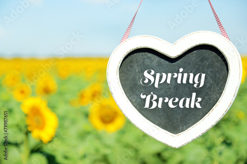 Spring break concept. Blackboard in shape of heart