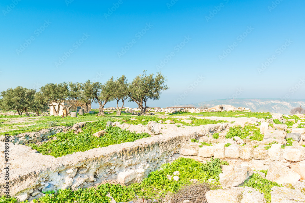 Roman ruins at Umm Qais in northern Jordan.