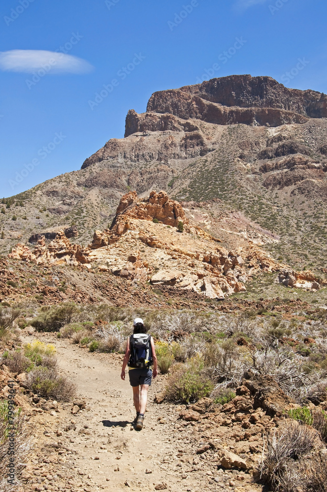 Spain, Canary Islands, Tenerife, Los Roques de Garcia, Teide Nation Park, female hiker