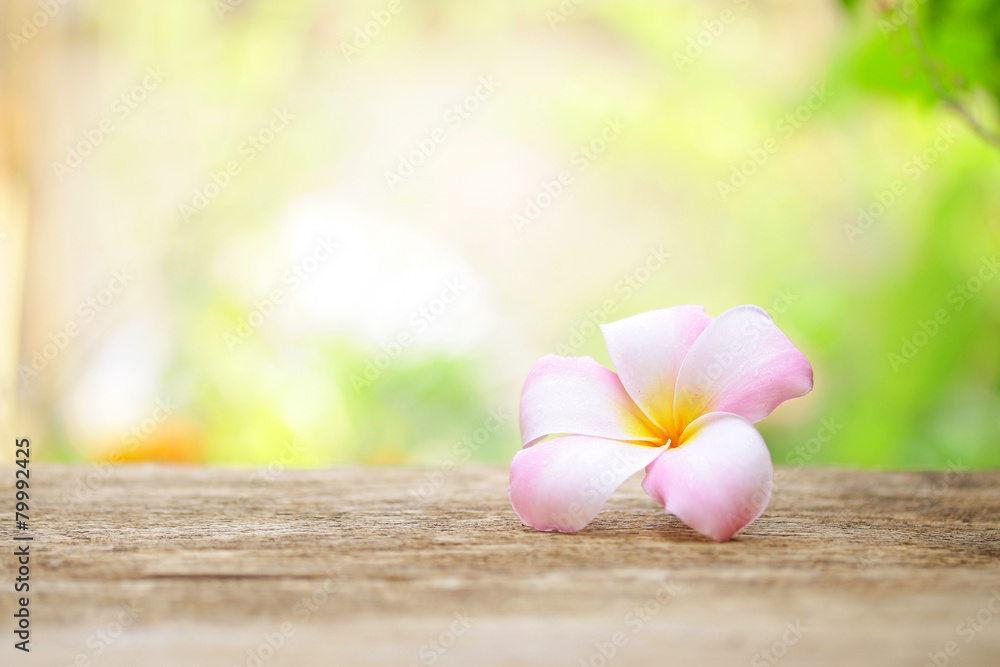 Fototapeta premium Frangipani flower on wooden table