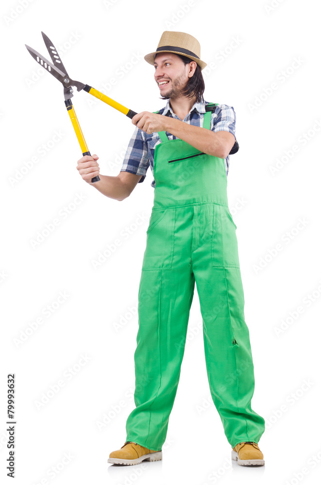 Male gardener isolated on white Male gardener isolated on white