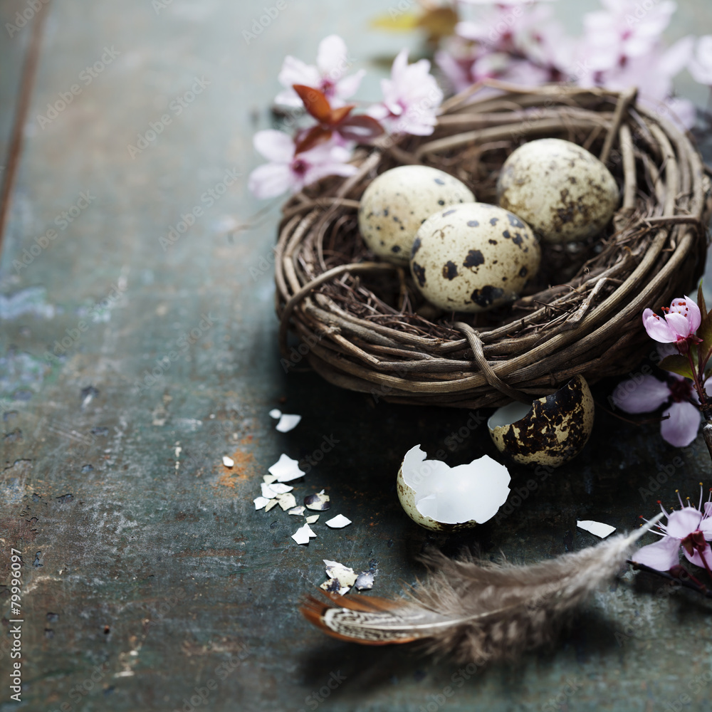 Quail easter eggs in a nest Quail easter eggs in a nest