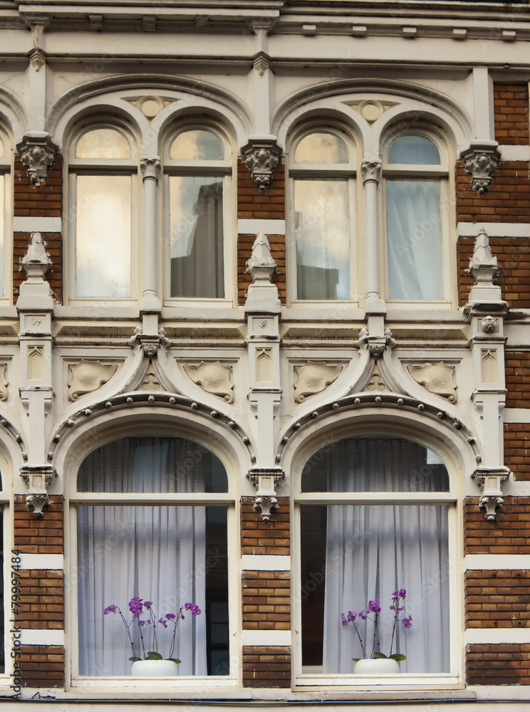 Arched window