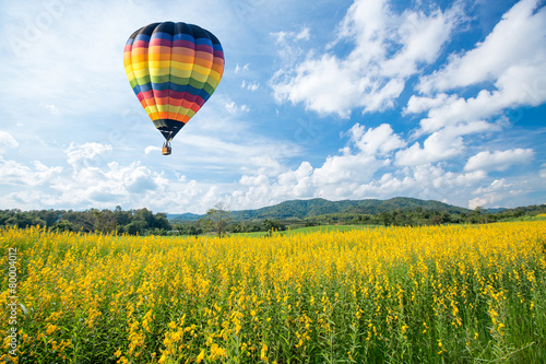 Fotomurale Hot air balloon over yellow flower fields against blue sky