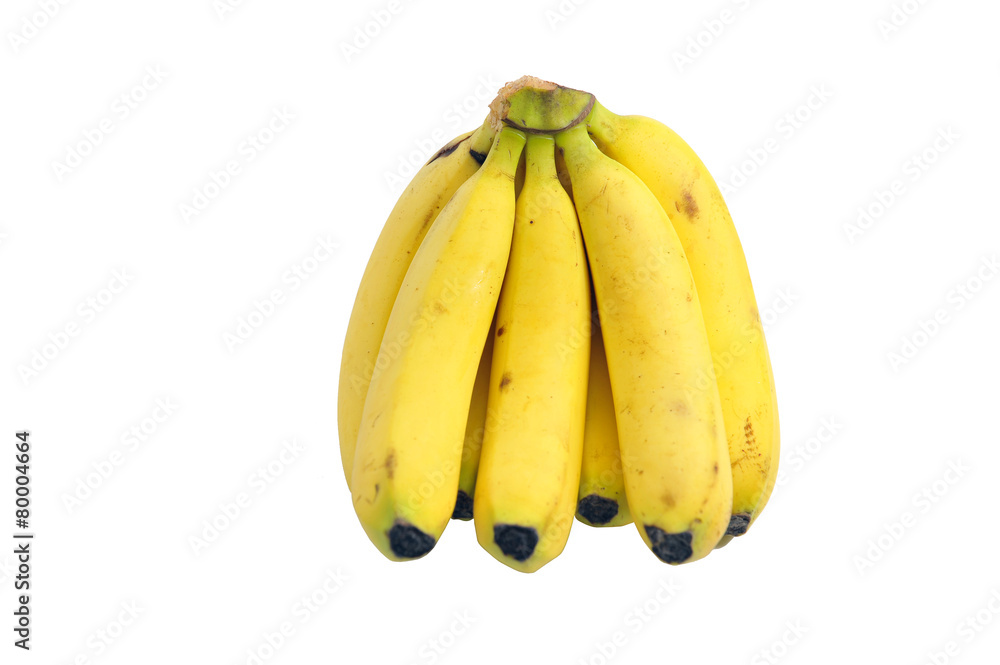 Bunch of bananas isolated on white background + Clipping Path