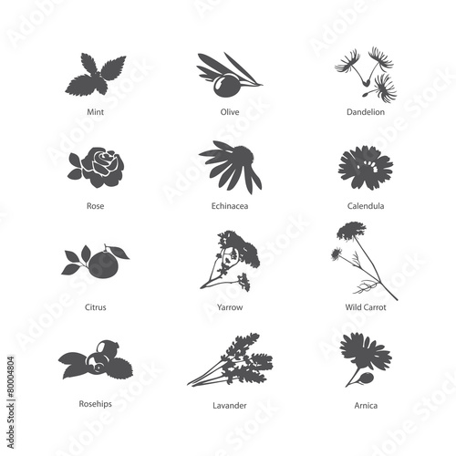 Herb symbols set