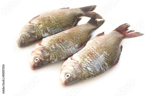 Raw peeled carp on white