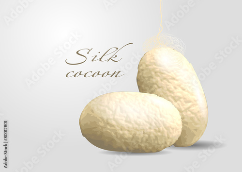 silk cocoon