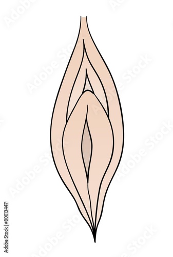 female vagina