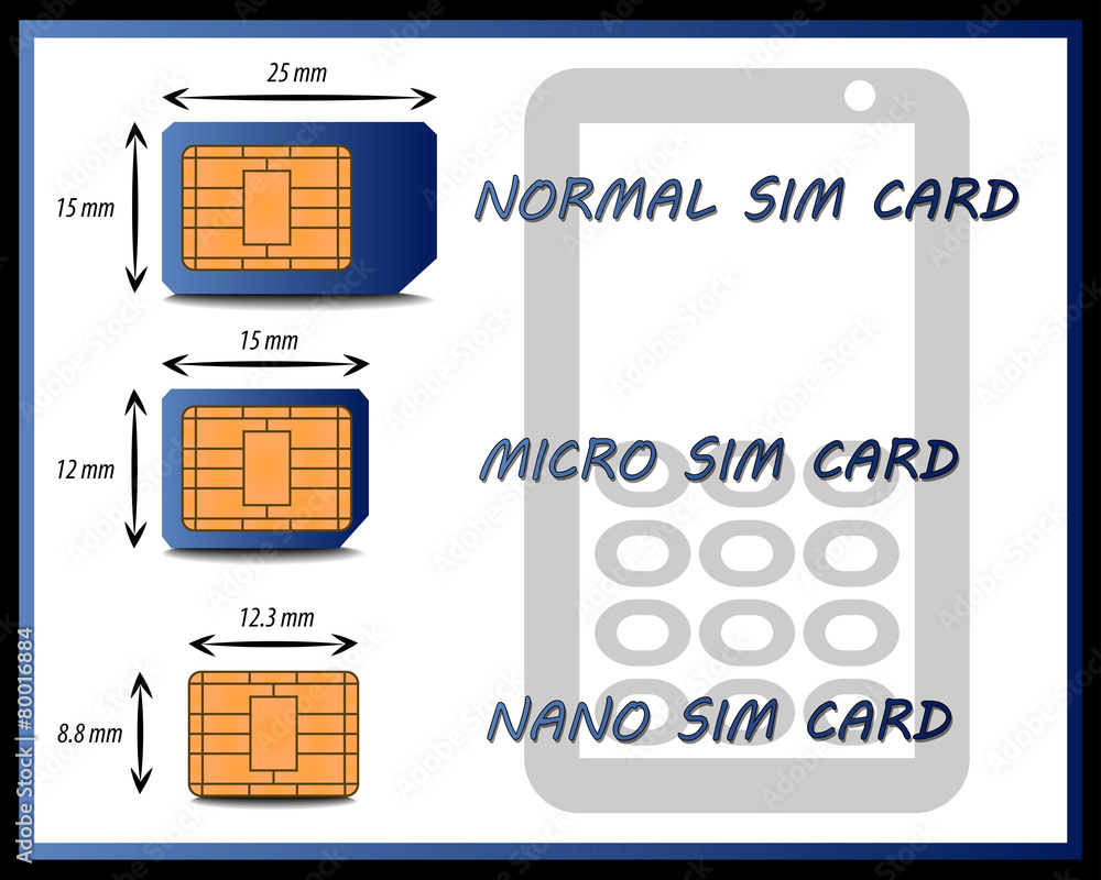 Graph of the Different Types of SIM Cards Stock Vector Adobe Stock