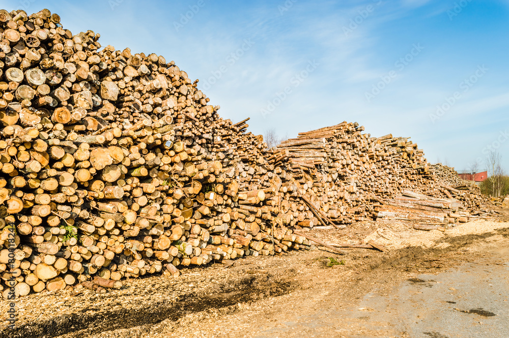 Stack of timber