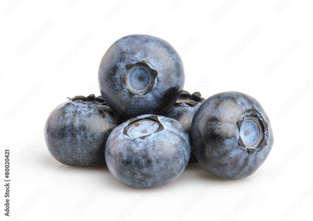 Obraz premium blueberries isolated on white background