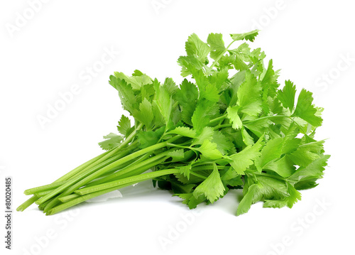 fresh green celery isolated on white background